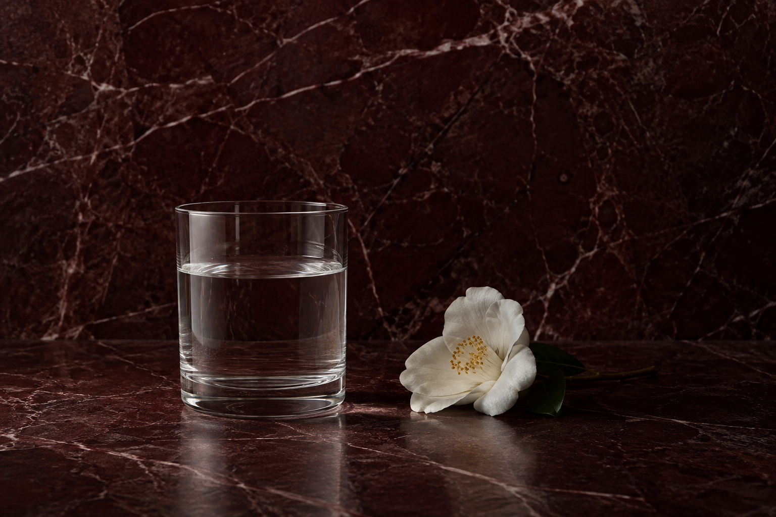 A glass of water and white flower against a warm burgundy background